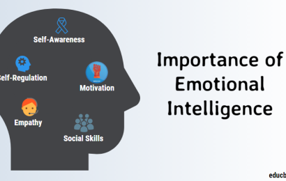 Emotional and Social Intelligence