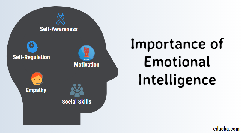 Emotional and Social Intelligence